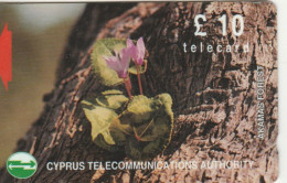 PHONE CARD CIPRO (E103.19.1 - Zypern