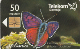 PHONE CARD SLOVENIA (E104.48.4 - Slovenia