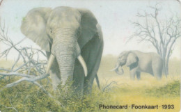 PHONE CARD SUDAFRICA (E104.45.2 - Zuid-Afrika