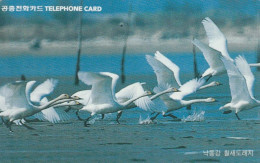 PHONE CARD COREA SUD (E104.43.4 - Korea, South