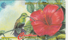 PHONE CARD VIRGIN ISLANDS  (E105.31.5 - Islas Virgenes