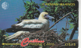 PHONE CARD CAYMAN ISLANDS  (E105.30.1 - Cayman Islands