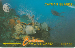 PHONE CARD CAYMAN ISLANDS  (E105.29.7 - Kaimaninseln (Cayman I.)