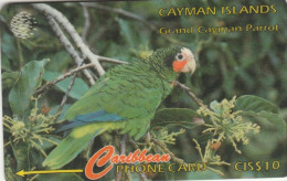 PHONE CARD CAYMAN ISLANDS  (E105.29.2 - Kaaimaneilanden