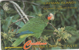 PHONE CARD CAYMAN ISLANDS  (E105.29.2 - Cayman Islands