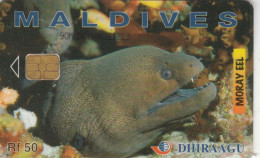 PHONE CARD MALDIVE  (E105.27.1 - Maldive