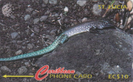 PHONE CARD ST LUCIA  (E105.20.3 - Sainte Lucie