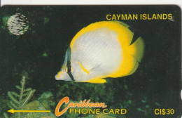 PHONE CARD CAYMAN ISLANDS  (E105.9.7 - Isole Caiman