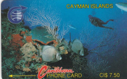 PHONE CARD CAYMAN ISLANDS  (E105.9.4 - Iles Cayman