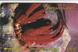 PHONE CARD CAYMAN ISLANDS  (E105.9.2 - Isole Caiman