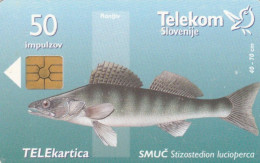 PHONE CARD SLOVENIA  (E107.12.8 - Slovenia