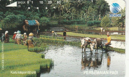 PHONE CARD INDONESIA  (E108.53.1 - Indonésie