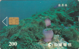 PHONE CARD TAIWAN CHIP  (E108.48.4 - Taiwán (Formosa)