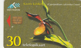 PHONE CARD ESTONIA  (E108.14.2 - Estonie