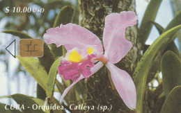 PHONE CARD CUBA  (E108.9.7 - Kuba