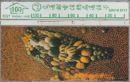 PHONE CARD TAIWAN  (E108.9.3 - Taiwán (Formosa)