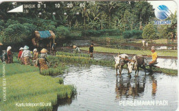 PHONE CARD INDONESIA  (E108.53.4 - Indonesië