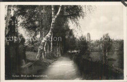 42216069 Guben Blick Zum Bismarckturm Guben - Guben