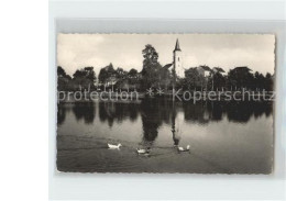 42214425 Crimmitschau Partie Am Wasser Enten Blick Zur Kirche Crimmitschau - Crimmitschau