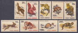 1993 Romania 4901-4905,4907-4910 Fauna 5,20 € - Conigli