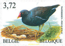 131469 MNH BELGICA 2003 AVES - Andere & Zonder Classificatie