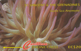 PHONE CARD ST VINCENT GRENADINES  (E109.30.4 - St. Vincent & The Grenadines