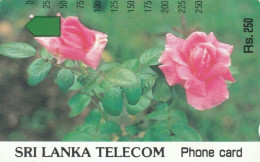 PHONE CARD SRI LANKA TAMURA 250 U  (E109.9.8 - Sri Lanka (Ceilán)