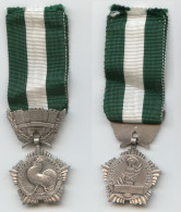 Médaille D'Honneur Des Colectivités Locales - France