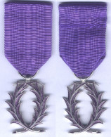 Médaille De Chevalier De L'Ordre Des Palmes Académique - En Argent - Frankreich