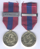 Médaille De La Défense Nationale  Echelon Bronze - Barette Légion Etrangère - Frankreich