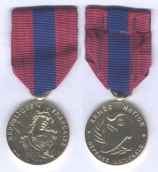 Médaille De La Défense Nationale - Echelon Bronze  - Frankreich