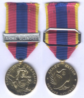 Médaille De La Défense Nationale - Echelon Or - Barette Arme Blindée - Frankreich