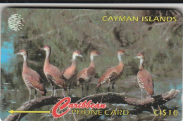 PHONE CARD CAYMAN ISLAND  (E110.7.2 - Kaimaninseln (Cayman I.)