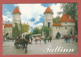 CP EUROPE ESTONIE TALLINN 1 - Estonie