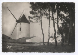 85 - Vendée /   NOIRMOUTIER  --  La Guérinière, Les Moulins. - Noirmoutier