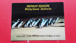 Penguin Parade.Phillip Island - Andere & Zonder Classificatie