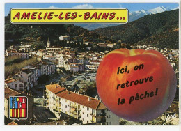 66 AMELIE-LES-BAINS ++ Ici, On Retrouve La Pêche ! ++ - Amélie-les-Bains-Palalda