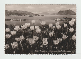 LAGO  MAGGIORE (NO):  PANORAMA  ISOLE  BORROMEO  -  FOTO  -  FG - Châteaux D'eau & éoliennes