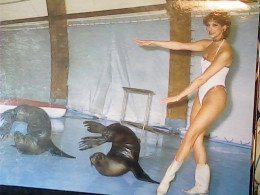 PIN UP - PIN UPS - FASANO (BR) / ZOOSAFARI - I Leoni Marini _ Conny's Show V1984  JR4819 - Pin-Ups