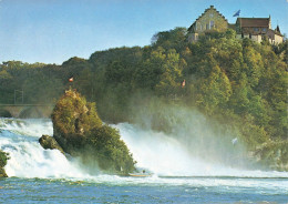 CPSM Neuhausen      L2482 - Neuhausen Am Rheinfall