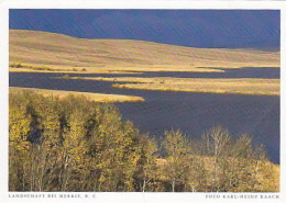 AK 190391 CANADA - British Columbia - Landschaft Bei Merrit - Andere & Zonder Classificatie