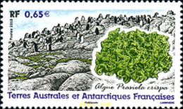 298414 MNH ANTARTIDA FRANCESA 2013  - Ungebraucht