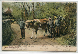 GUERNSEY In A Guernsey Lane Paysans Attelage Boeuf Transport Pierres Couleur 1908 Timb IWS 465 D01 2023 - Guernsey