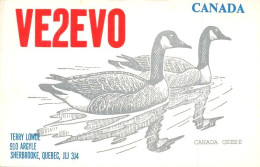 QSL Card - SHERBROOKE, QUEBEC, CANADA 1984  ( 2 Scans ) - Radio Amateur