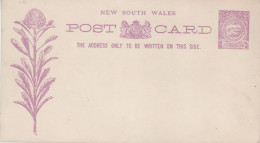 NEW SOUTH WALES 1888 POSTAL STATIONER POSTCARD UNUSED - Cartas & Documentos