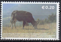 Kosovo 2006 (MNH) (m 46) - Cow (Bos Primigenius Taurus) - Vaches