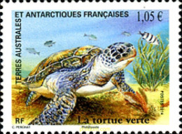 337589 MNH ANTARTIDA FRANCESA 2015 TORTUGA - Ungebraucht