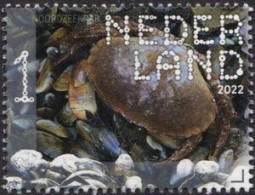 Netherlands 2022 (MNH) (Mi 4075) - Brown Crab (Cancer Pagurus) - Crostacei