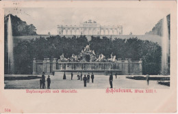 Wien 1901; Schönbrunn, Neptunsgrotte Und Gloriette - Gelaufen. - Schloss Schönbrunn