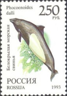 Russia 1993 (MNH) (Mi 356) - Dall's Porpoise (Phocoenoides Dalli) - Dauphins